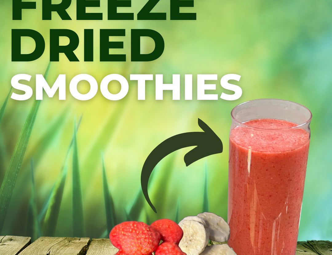 freeze-dried-smoothies-nutriboom-why-freeze-dry-smoothie-blog-post-nutrients-healthy-sustainable-foods-superfoods