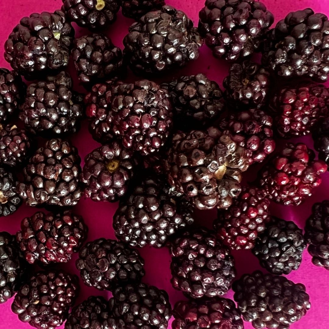 organic-bio-blackberries-nutriboom-berries-freeze-dried-healthy-snacks-for-smoothies-1