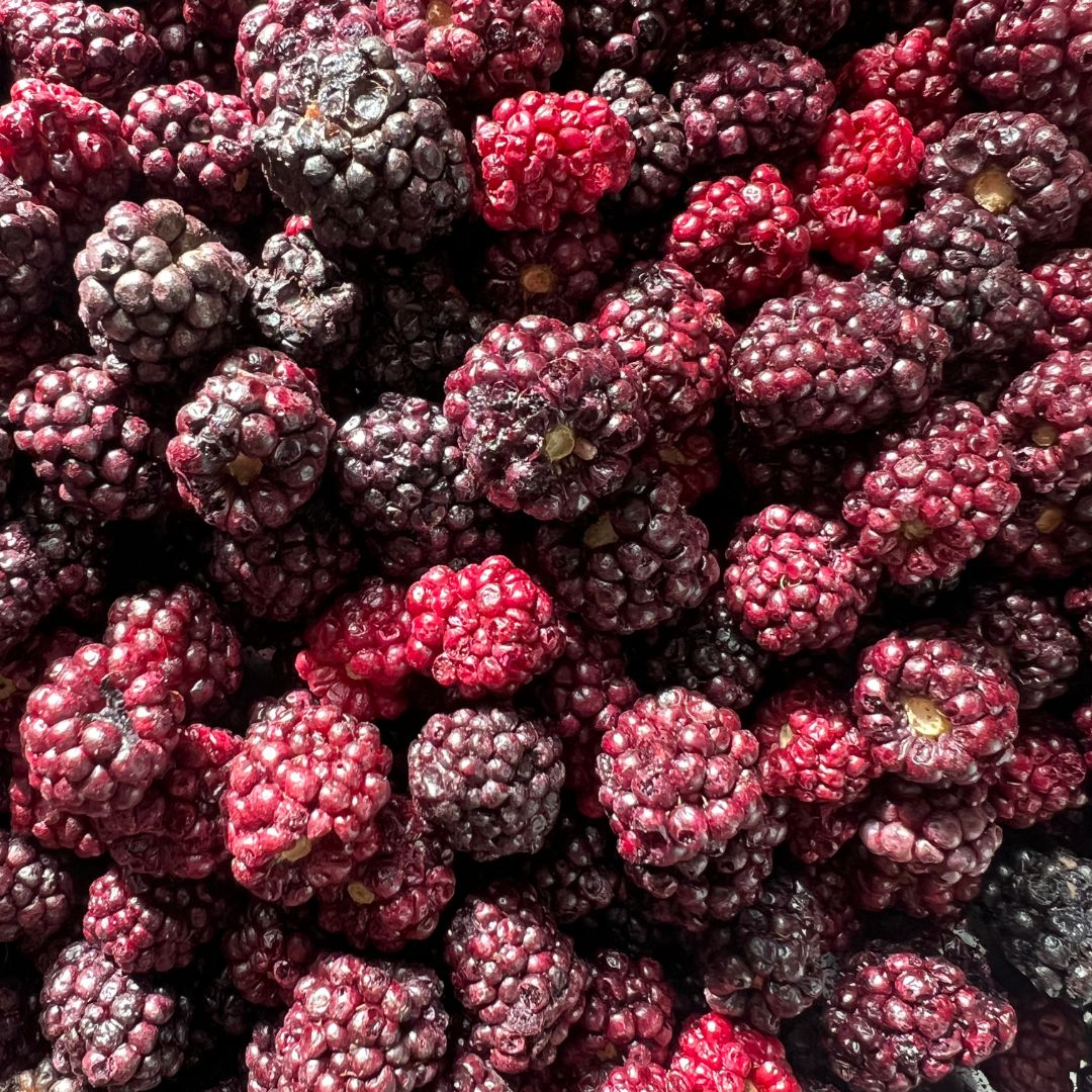 freeze-dried-blackberries-nutriboom-snacks-no-added-sugar-liofilizetas-sublimetas-kazenes2