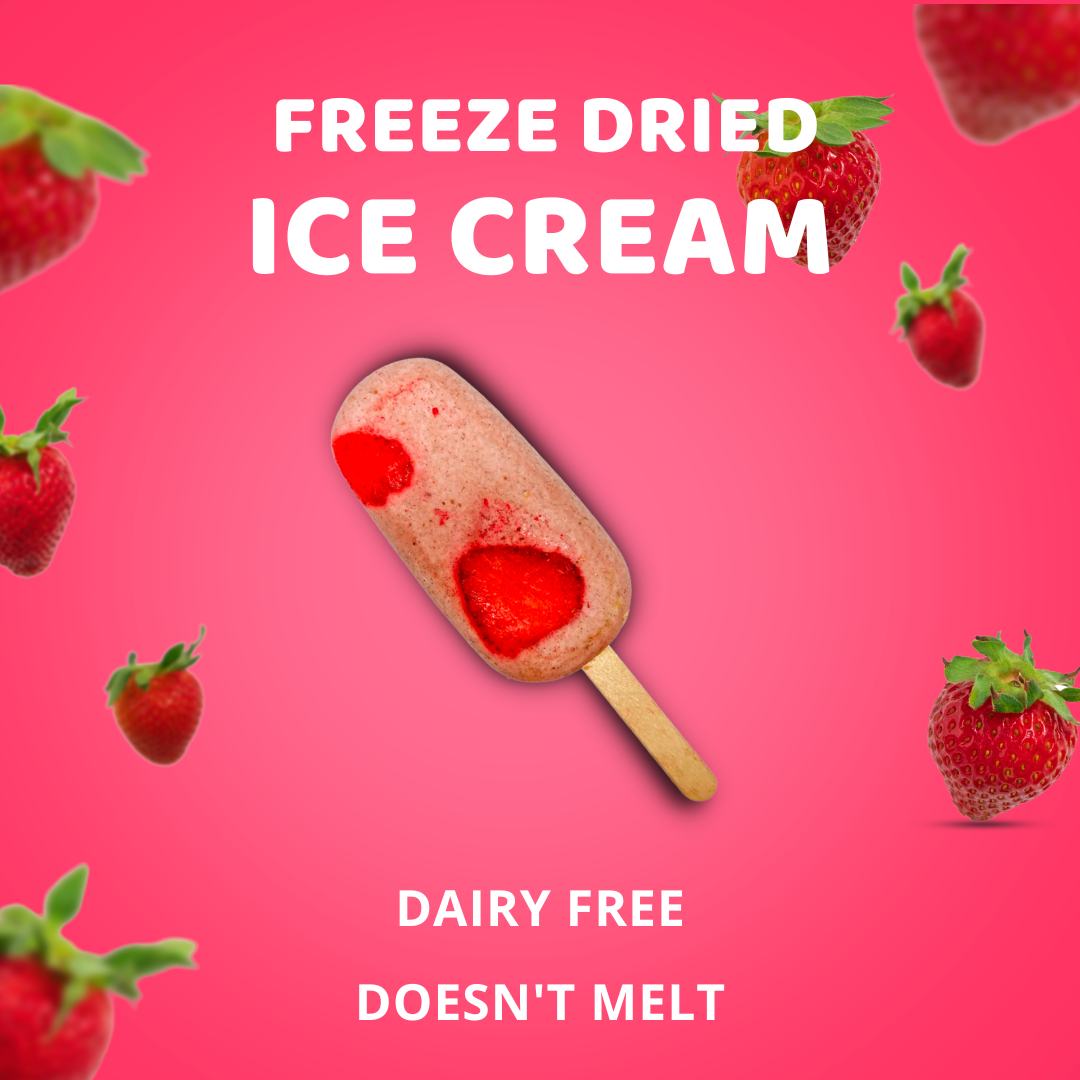 freeze-dried-ice-cream-vegan-nutriboom-strawberries-cashews-liofilizets-saldejums-vegans-indijas-rieksti-zemenes-3-organic-bio-dairy-free